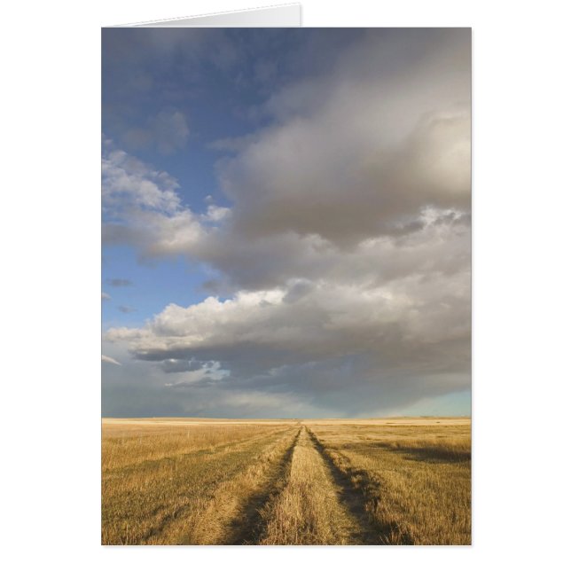 Kanada, Alberta, Stand Off: Landschaft mit (Vorne)