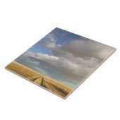 Kanada, Alberta, Stand Off: Landschaft mit Fliese (Seite)