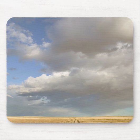 Kanada, Alberta, Stand Off: Landschaft mit Mousepad (Vorne)