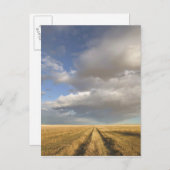 Kanada, Alberta, Stand Off: Landschaft mit Postkarte (Vorne/Hinten)