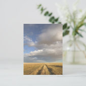 Kanada, Alberta, Stand Off: Landschaft mit Postkarte (Stehend Vorderseite)