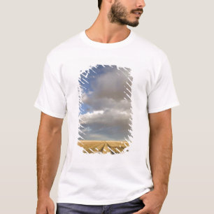 Kanada, Alberta, Stand Off: Landschaft mit T-Shirt
