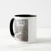 Kanada, Alberta. ÜBER Schienen-Schnee-Zug zwischen Tasse (Vorderseite Links)