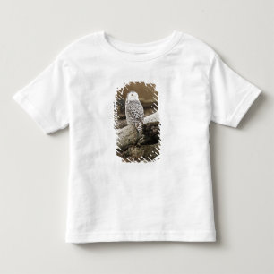 Kanada, Boundary Bay, Schneeeule Kleinkind T-shirt