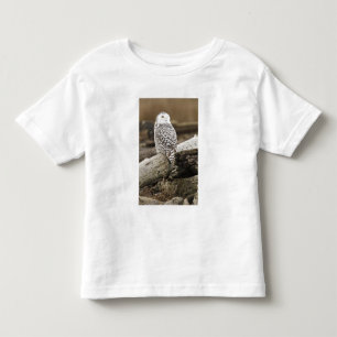 Kanada, Boundary Bay, Schneeeule Kleinkind T-shirt