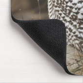 Kanada, Boundary Bay, Schneeeule Mousepad (Ecke)