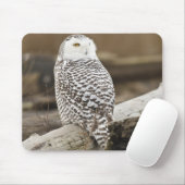 Kanada, Boundary Bay, Schneeeule Mousepad (Mit Mouse)