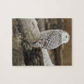 Kanada, Boundary Bay, Schneeeule Puzzle (Horizontal)