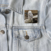 Kanada, Boundary Bay, Snowy Owl Button (Beispiel)