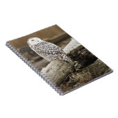 Kanada, Boundary Bay, Snowy Owl Notizblock (Rechte Seite)