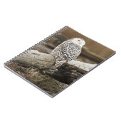 Kanada, Boundary Bay, Snowy Owl Notizblock (Linke Seite)