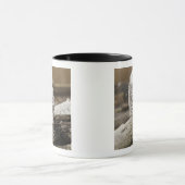 Kanada, Boundary Bay, Snowy Owl Tasse (Zentrum)