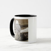 Kanada, Boundary Bay, Snowy Owl Tasse (Vorderseite Links)