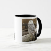 Kanada, Boundary Bay, Snowy Owl Tasse (VorderseiteRechts)
