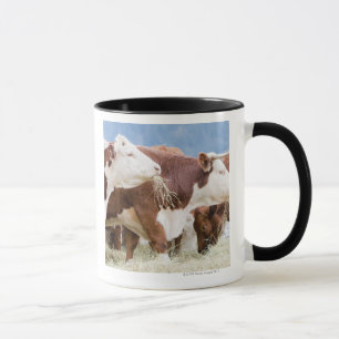 Kanada, Britisch-Columbia, Pemberton Tasse