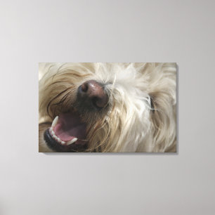 Kanada, Britisch-Columbia, Vancouver Leinwanddruck