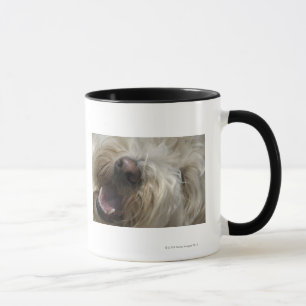 Kanada, Britisch-Columbia, Vancouver Tasse