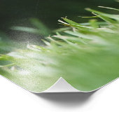 Kanada, Britische Kolumbien, Roter Eichhörnchen Fotodruck (Ecke)