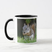 Kanada, Britische Kolumbien, Roter Eichhörnchen Tasse (Links)