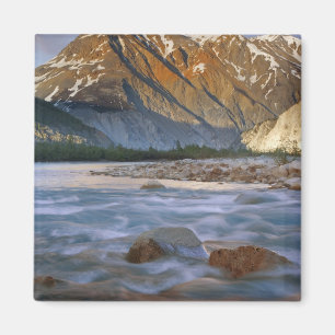 Kanada, British Columbia, Alsek-Flusstal. Magnet