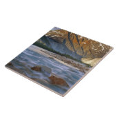 Kanada, British Columbia, Alsek River Valley. Fliese (Seite)