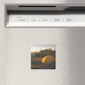 Kanada, British Columbia, Cathedral Provincial Magnet (In Situ (Geschirrspüler))