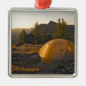 Kanada, British Columbia, Cathedral Provincial Silbernes Ornament (Vorne)