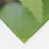 Kanada, British Columbia. Dogwood Fleecedecke (Ecke)