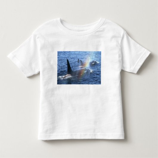 Kanada, British Columbia, Johnstone Straight, Kleinkind T-shirt (Vorderseite)