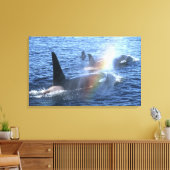 Kanada, British Columbia, Johnstone Straight, Leinwanddruck (Insitu (Wohnzimmer))