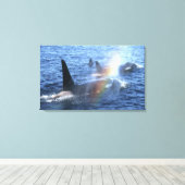 Kanada, British Columbia, Johnstone Straight, Leinwanddruck (Insitu (Holzboden))