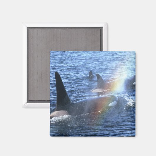 Kanada, British Columbia, Johnstone Straight, Magnet (Vorderseite/Rückseite)