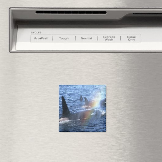 Kanada, British Columbia, Johnstone Straight, Magnet (In Situ (Geschirrspüler))