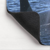 Kanada, British Columbia, Johnstone Straight, Mousepad (Ecke)