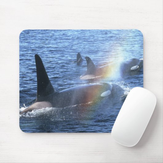 Kanada, British Columbia, Johnstone Straight, Mousepad (Mit Mouse)