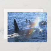 Kanada, British Columbia, Johnstone Straight, Postkarte (Vorne/Hinten)