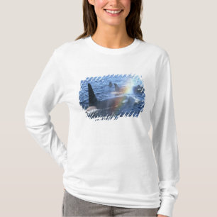 Kanada, British Columbia, Johnstone Straight, T-Shirt