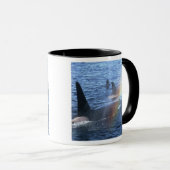 Kanada, British Columbia, Johnstone Straight, Tasse (VorderseiteRechts)