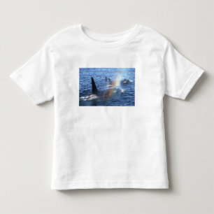 Kanada, British Columbia, Johnstone Strait, Kleinkind T-shirt