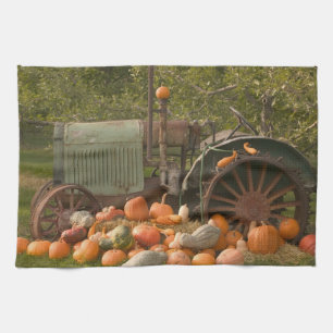 KANADA, British Columbia, Keremeos. Herbst / 2 Geschirrtuch