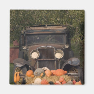 KANADA, British Columbia, Keremeos. Herbst / 2 Magnet