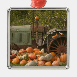 KANADA, British Columbia, Keremeos. Herbst / 2 Ornament Aus Metall