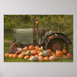 KANADA, British Columbia, Keremeos. Herbst / 2 Poster