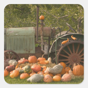 KANADA, British Columbia, Keremeos. Herbst / 2 Quadratischer Aufkleber