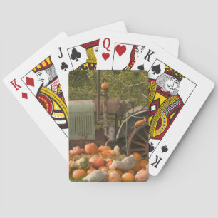 KANADA, British Columbia, Keremeos. Herbst / 2 Spielkarten