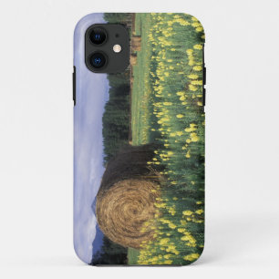 Kanada, British Columbia, Kitwanga. Gelb Case-Mate iPhone Hülle