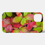 Kanada, British Columbia, Mount Robson Case-Mate iPhone Hülle (Rückseite (Horizontal))