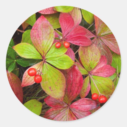 Kanada, British Columbia, Mount Robson Runder Aufkleber (Vorderseite)