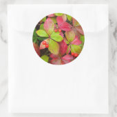 Kanada, British Columbia, Mount Robson Runder Aufkleber (Tasche)