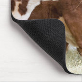 Kanada, British Columbia, Pemberton Mousepad (Ecke)